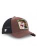 CAPSLAB czapka Looney Tunes Tasmanian Devil SE brown