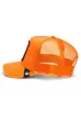 GOORIN BROS. czapka Pitbull orange