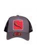 FREEGUN Czapka Salsa Trucker grey